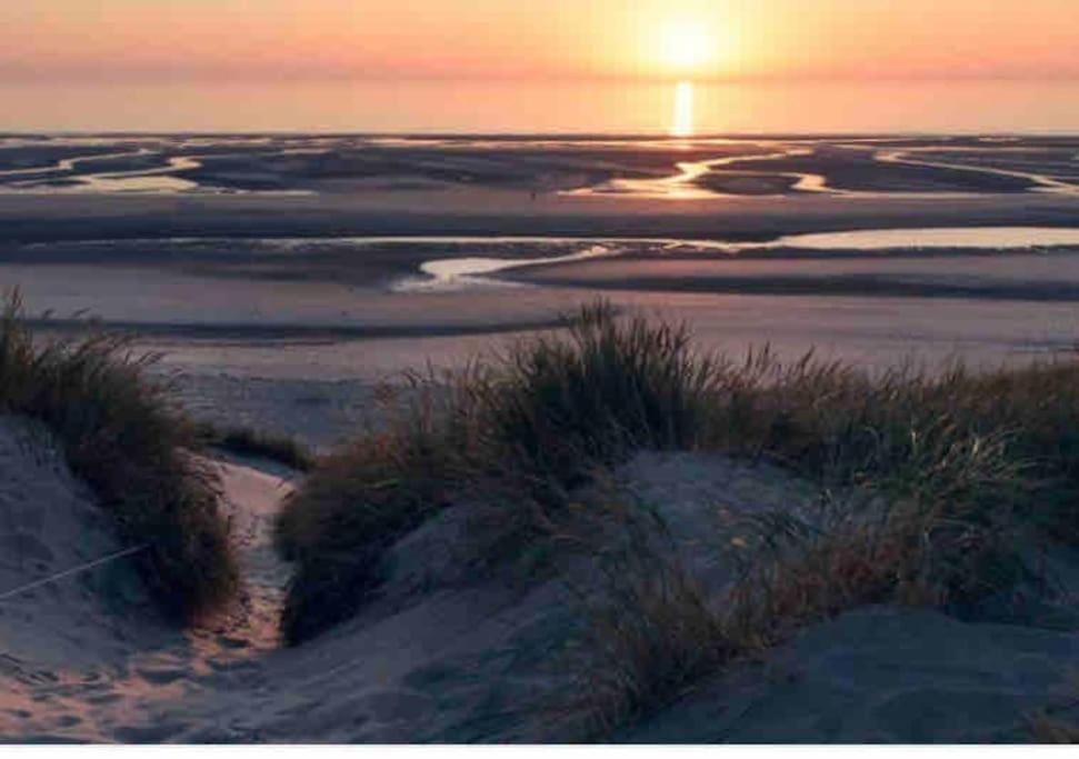 Bel Appartement En Bord De Mer Le Touquet Dış mekan fotoğraf